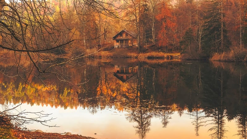 Cabin Retreat
